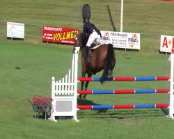 jumper Donnerball S (Oldenburg, 2002, from Don Larino 171 FIN)