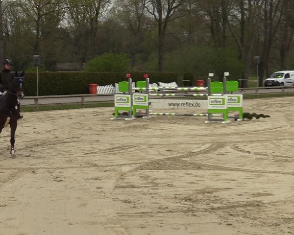 Reitturnier Münster-Handorf 2021