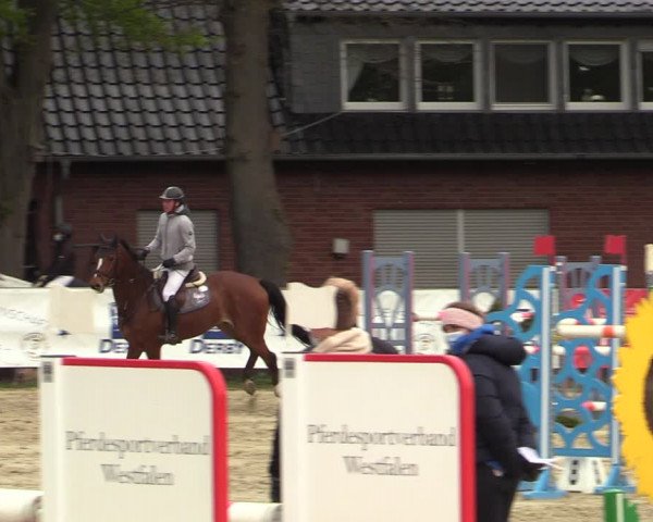 Reitturnier Münster-Handorf 2021