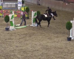 jumper Pik Ponita (Westphalian, 2002, from Pik Blondy)