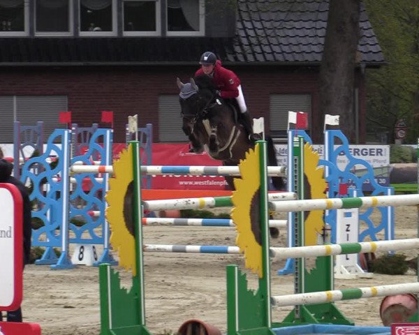 Reitturnier Münster-Handorf 2021