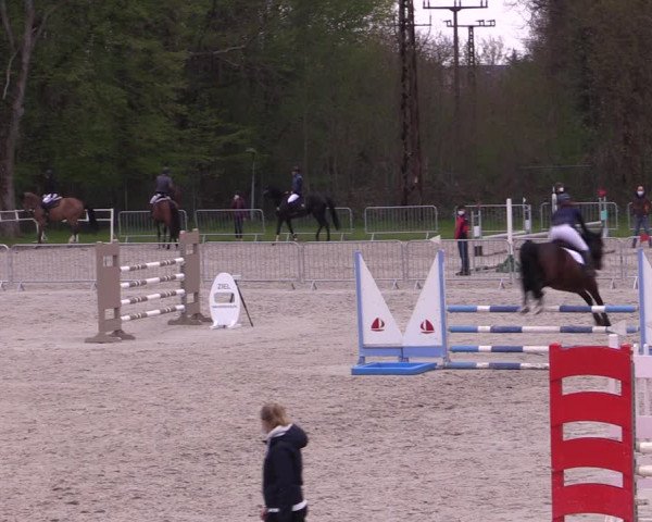 Reitturnier Prussendorf 2021