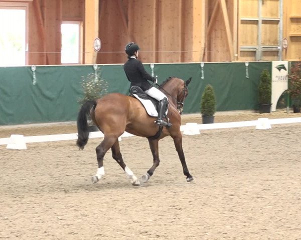 Reitturnier Dielsdorf, Horsepark 2021