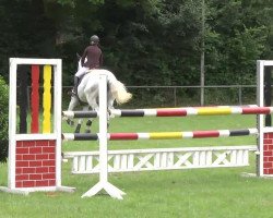 jumper Carry Me 5 (Württemberger, 2005, from Chapot)