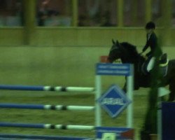 jumper Tetano XX (Thoroughbred, 1999, from Baylis xx)