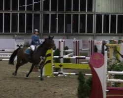 jumper Chester 217 (Holsteiner, 2005, from Contendro I)