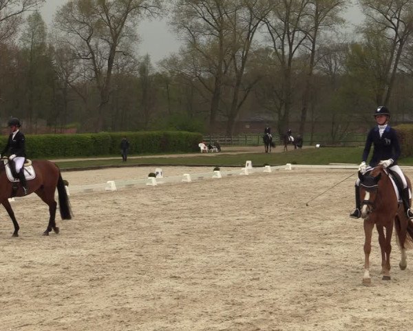 Reitturnier Münster-Handorf 2021