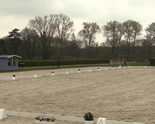 Reitturnier Münster-Handorf 2021