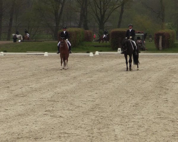 Reitturnier Münster-Handorf 2021