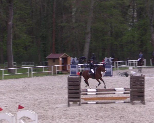 Reitturnier Prussendorf 2021