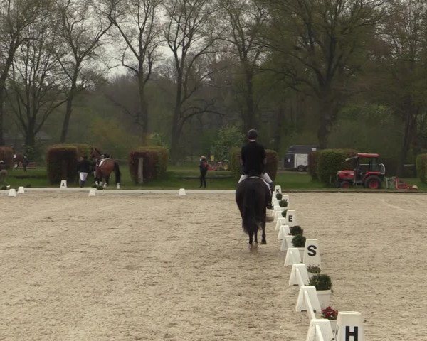 Reitturnier Münster-Handorf 2021
