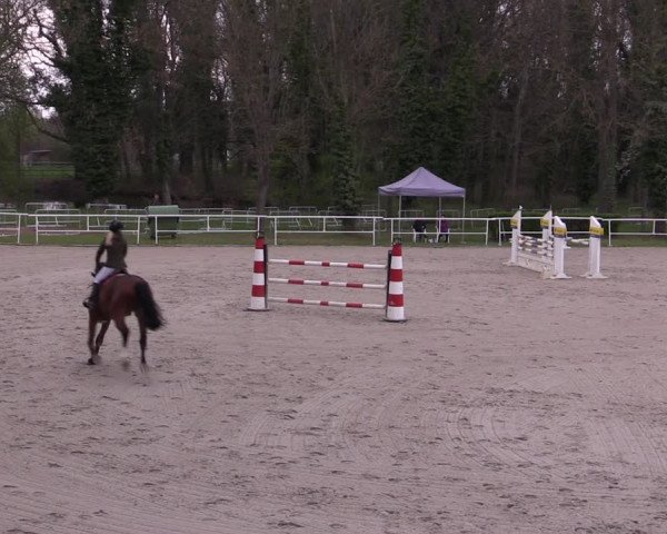 Reitturnier Prussendorf 2021