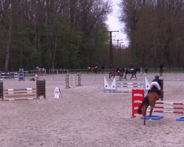 Reitturnier Prussendorf 2021