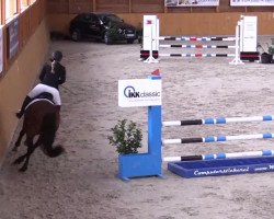 broodmare C'est la vie 110 (Oldenburg, 2005, from Chico's Boy)