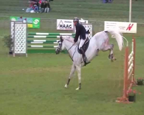 broodmare Cellestina (Mecklenburg, 2006, from Cellestial)
