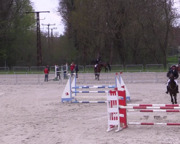 Reitturnier Prussendorf 2021
