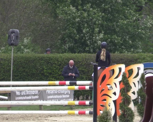 Reitturnier Münster-Handorf 2021