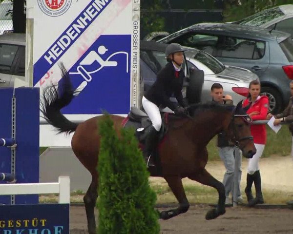 jumper Bonny (Saxony-Anhaltiner, 1999, from Bernstein B)