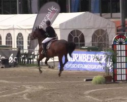 jumper Roulon van het Spaans Kwartier (Belgium Sporthorse, 2001, from Toulon)