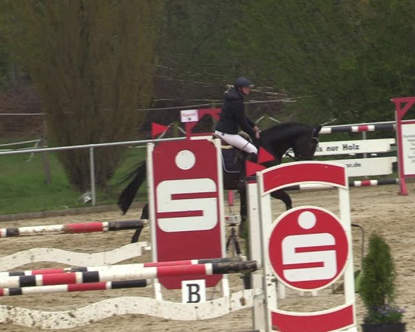 Reitturnier Oelde 2021