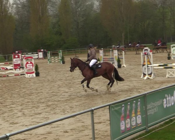 Reitturnier Oelde 2021
