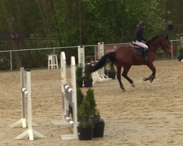 Reitturnier Oelde 2021