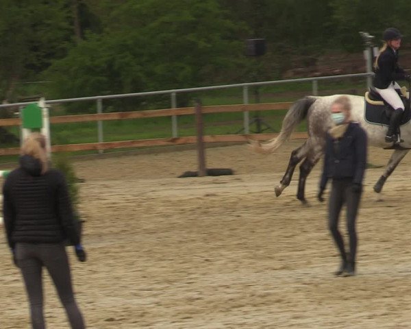 Reitturnier Oelde 2021