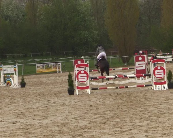 Reitturnier Oelde 2021