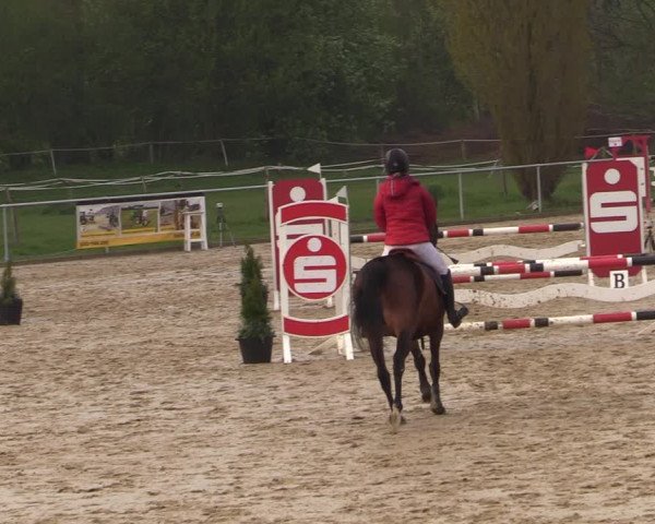 Reitturnier Oelde 2021