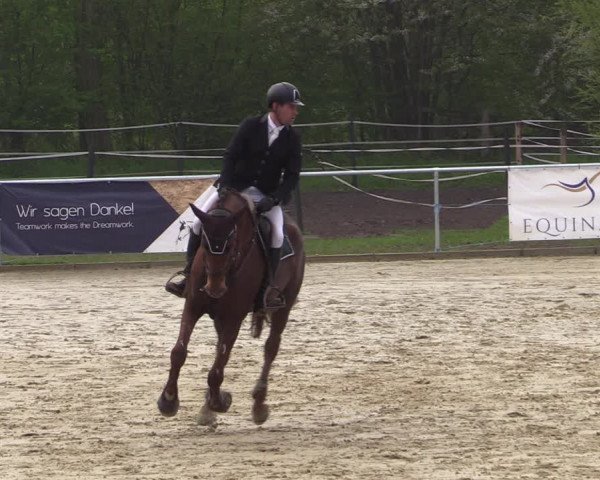 Reitturnier Oelde 2021
