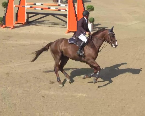 jumper Even To Heaven (Hanoverian, 2001, from Espri)