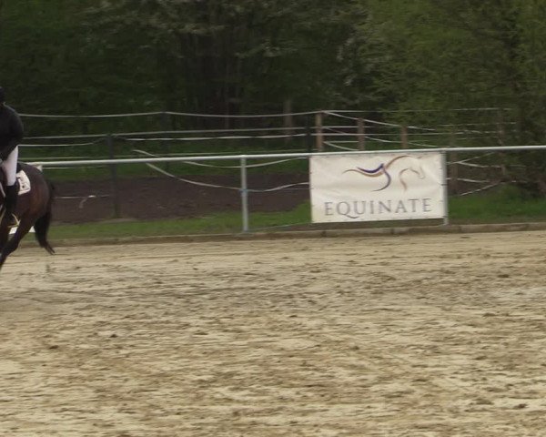 Reitturnier Oelde 2021