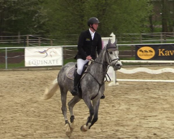 Reitturnier Oelde 2021