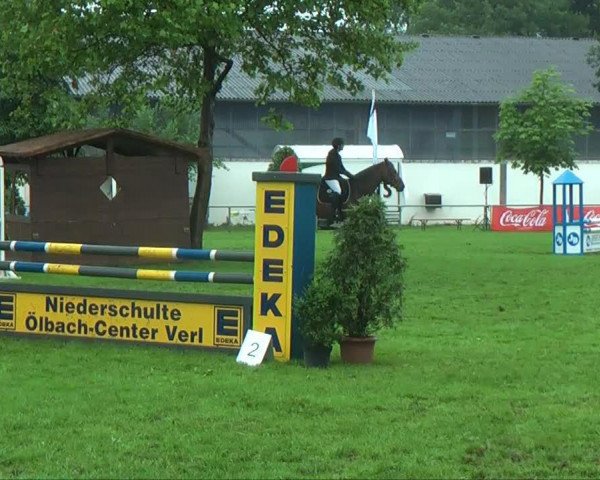 jumper Elwood M (Hanoverian, 2003, from El Bundy)