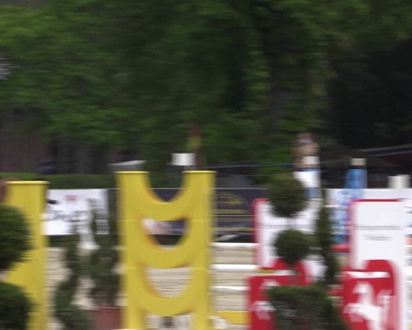 Reitturnier Münster-Handorf 2021