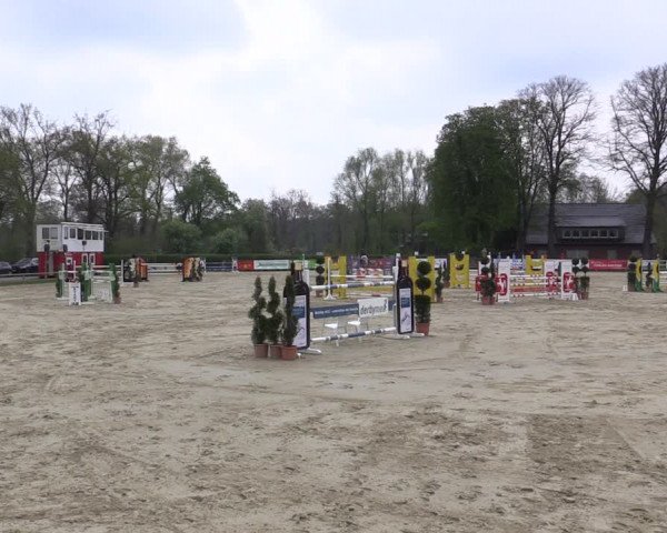 Reitturnier Münster-Handorf 2021