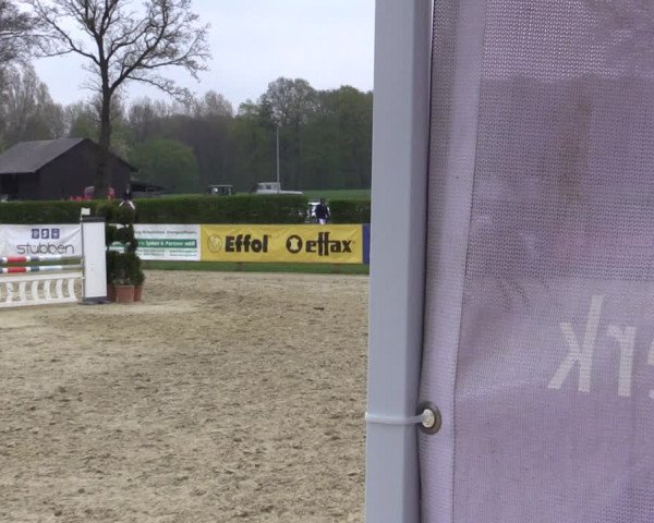 Reitturnier Münster-Handorf 2021