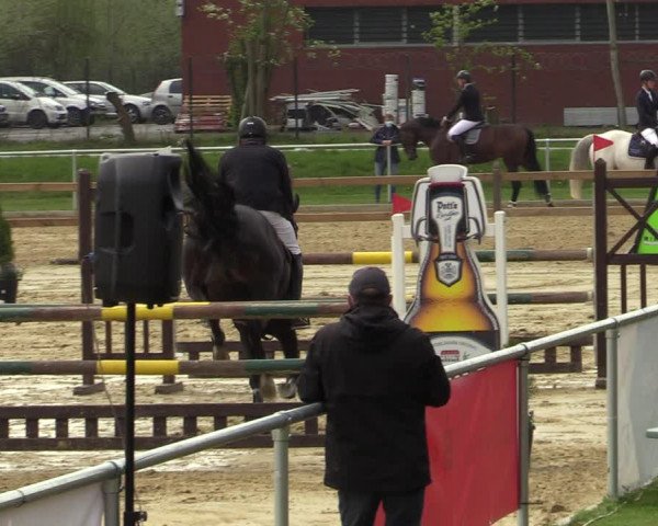 Reitturnier Oelde 2021