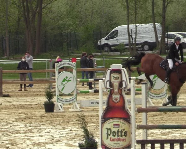 Reitturnier Oelde 2021