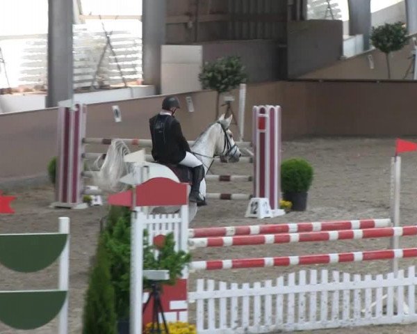 jumper Granada 282 (Hanoverian, 2001, from Granulit)
