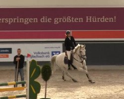jumper Kaskadeur 21 (Saxony-Anhaltiner, 2000, from Kolibri 2705)