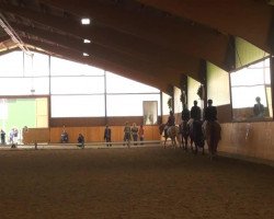 dressage horse Rob Roy 29 (Westphalian, 1999, from Rosenquarz)