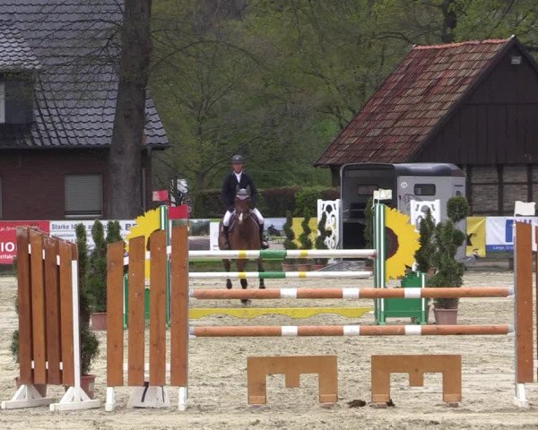 Reitturnier Münster-Handorf 2021