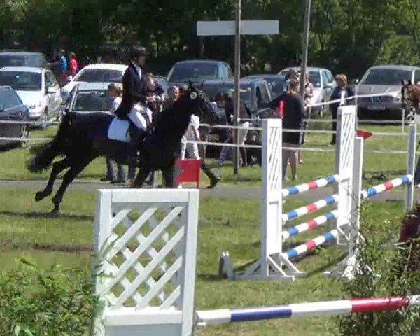 jumper Anthony 83 (Saxony-Anhaltiner, 2000, from Lehnbach)