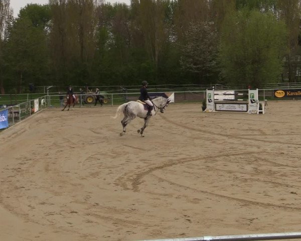 Reitturnier Oelde 2021