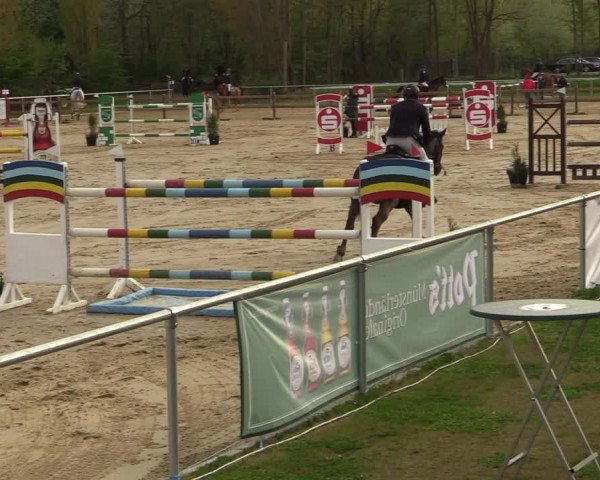 Reitturnier Oelde 2021