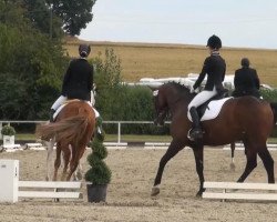 dressage horse Herr Frodo 2 (Hanoverian, 2001, from For Feeling)
