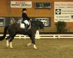 dressage horse Daymen Ixes (Hanoverian, 2004, from De Niro)