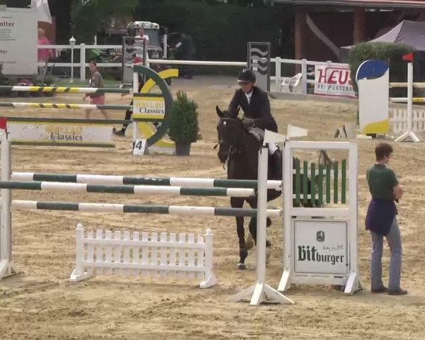jumper Ultimate 9 (Zweibrücken, 2003, from Ulmos du Saulcy)