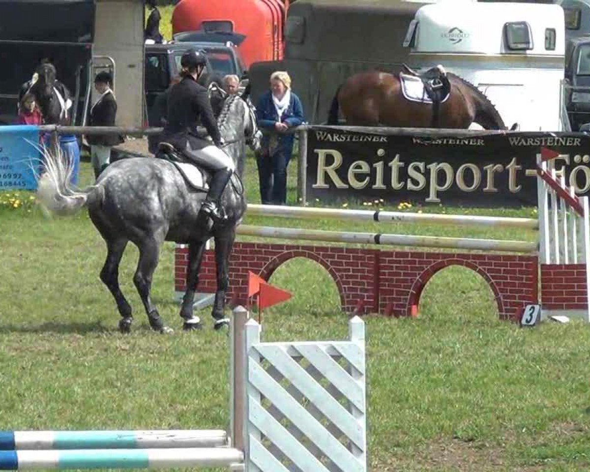 jumper Escalat 2 (Hanoverian, 2004, from El Bundy)